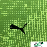 eb4d3ef713d717f4.jpg
